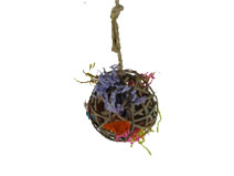 Fiesta Ball(small)