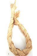 Raffia (Braided)