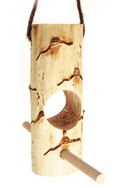 Yucca Log Perch